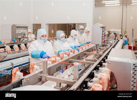 poultry processing plant metal fabrication|MEAT/POULTRY/EGGS/SEAFOOD Plant: .